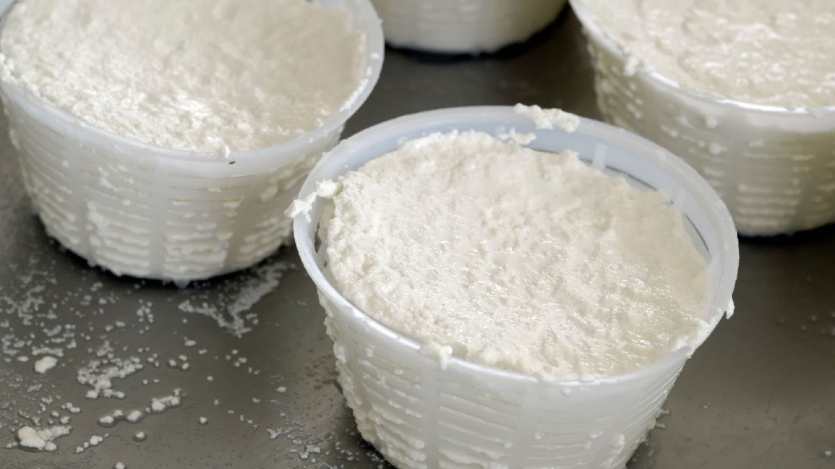 Quel est l’équipement de base pour faire son fromage à la maison?